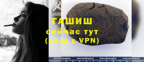 метадон Богданович