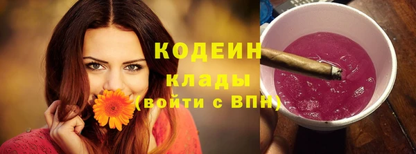 метадон Богданович