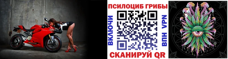 купить   Пестово  Псилоцибиновые грибы Magic Shrooms 