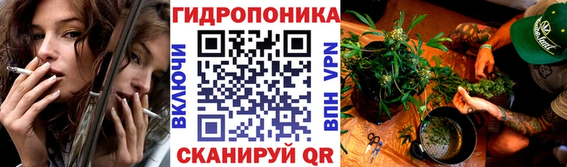 KRAKEN   Пестово  Бошки марихуана VHQ 